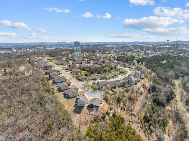 128 Sapling Dr, Branson, MO 65616 - photo 41