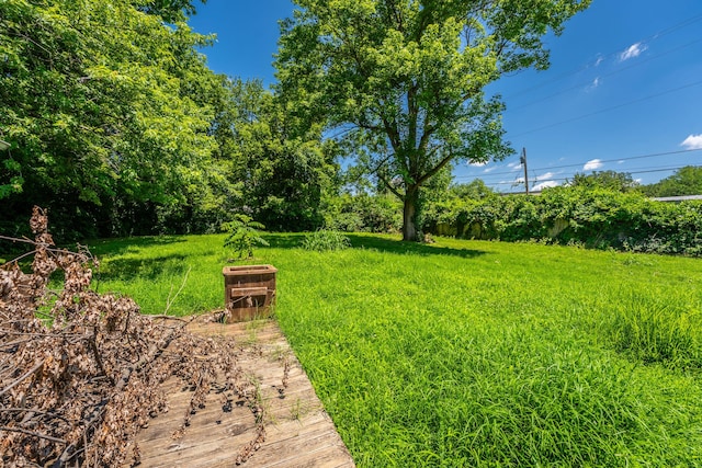 2723 W State St, Springfield, MO 65802 - photo 6