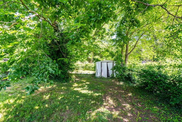1107 W Nichols St, Springfield, MO 65802 - photo 5