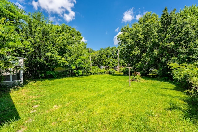 1107 W Nichols St, Springfield, MO 65802 - photo 4