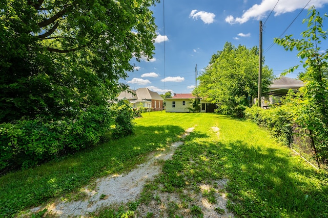 1107 W Nichols St, Springfield, MO 65802 - photo 6