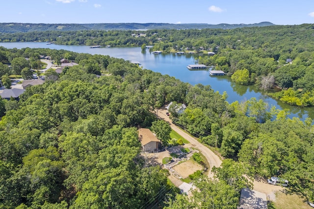 60 Montego Dr, Kimberling City, MO 65686 - photo 33