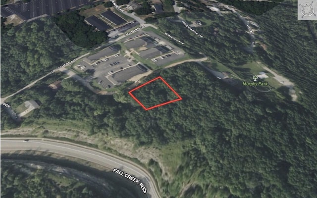 450 County Trce, Branson, MO 65616 - photo 3