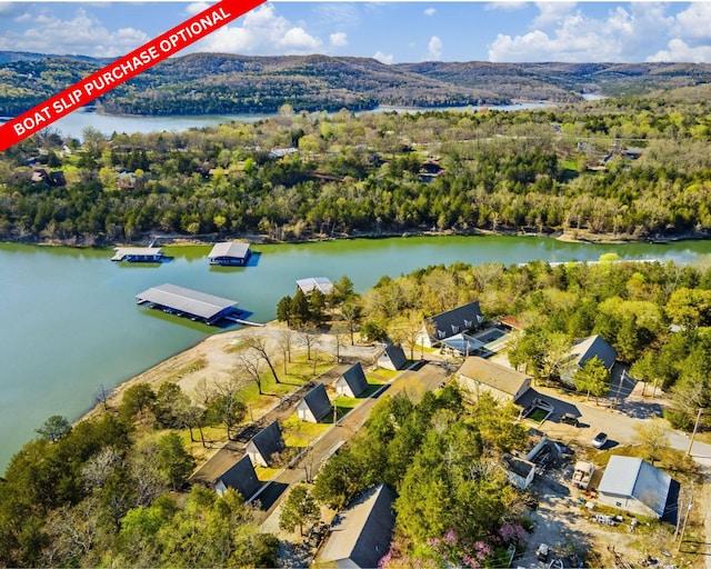 11 Eagle Dr, Reeds Spring, MO 65737 - photo 44