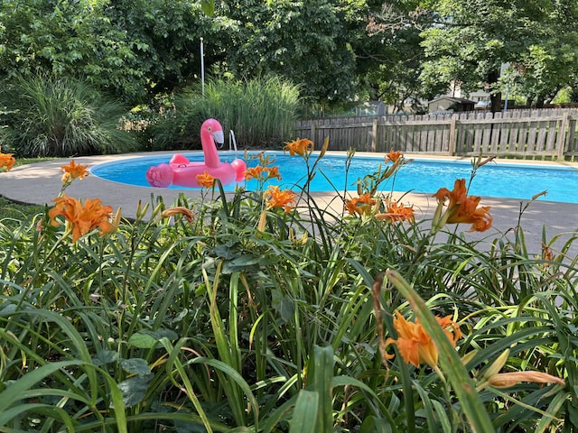 5751 S Kings Ave, Springfield, MO 65810 - view of pool