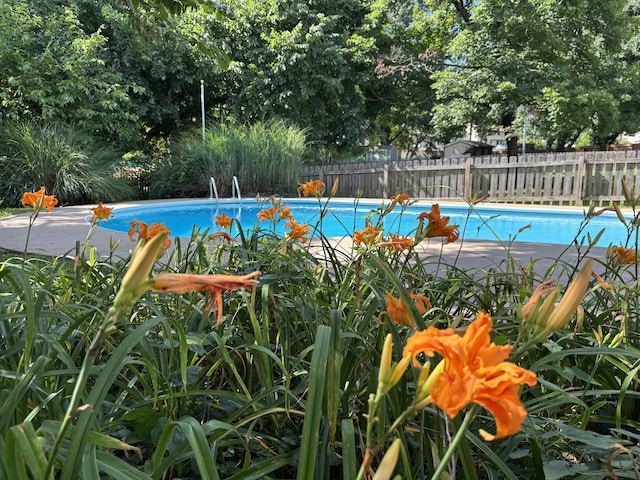 5751 S Kings Ave, Springfield, MO 65810 - view of swimming pool