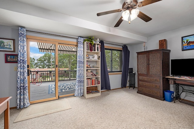 540 Dale Ave, Hollister, MO 65672 - photo 30