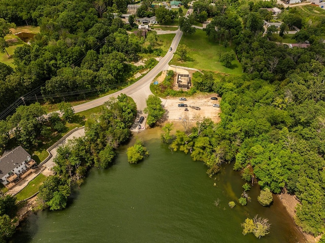 540 Dale Ave, Hollister, MO 65672 - photo 42