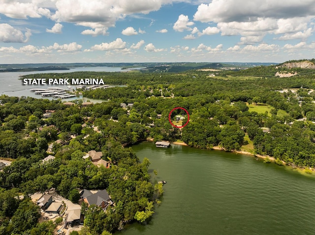 540 Dale Ave, Hollister, MO 65672 - photo 41