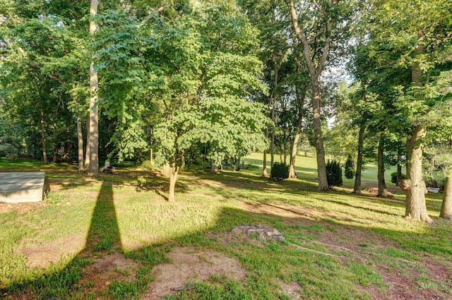 2800 W Oak Run, Ozark, MO 65721 - photo 40