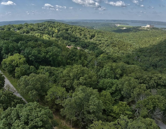 162 Lone Pine Rd, Branson, MO 65616 - photo 1