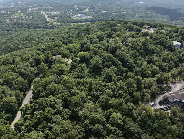162 Lone Pine Rd, Branson, MO 65616 - photo 6