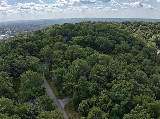 162 Lone Pine Rd, Branson, MO 65616 - photo 4