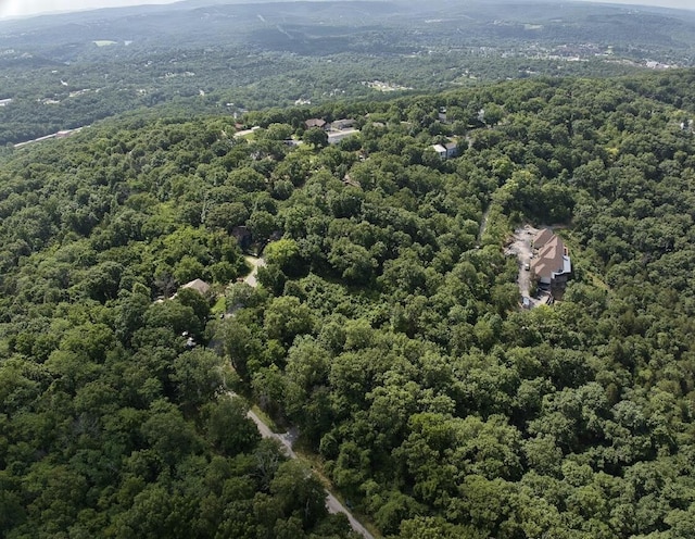 162 Lone Pine Rd, Branson, MO 65616 - photo 3