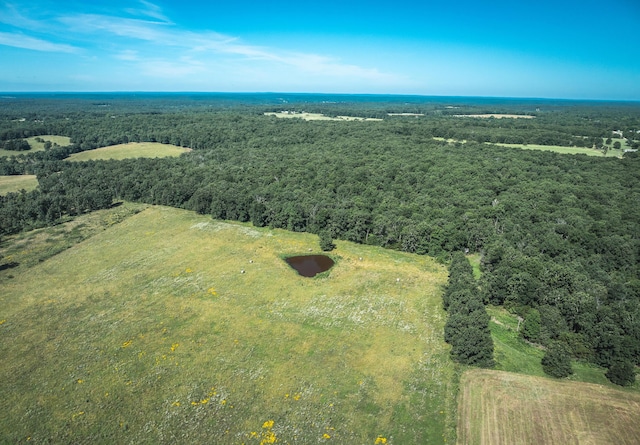 000 County Road 6190, Edgar Springs, MO 65462 - photo 12