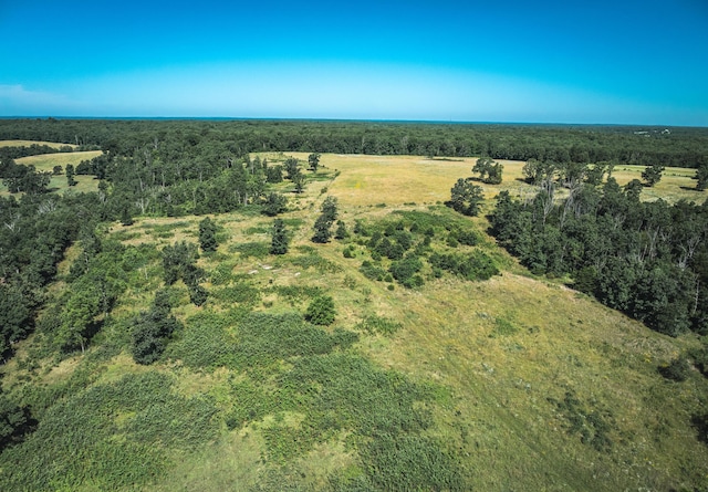 000 County Road 6190, Edgar Springs, MO 65462 - photo 4