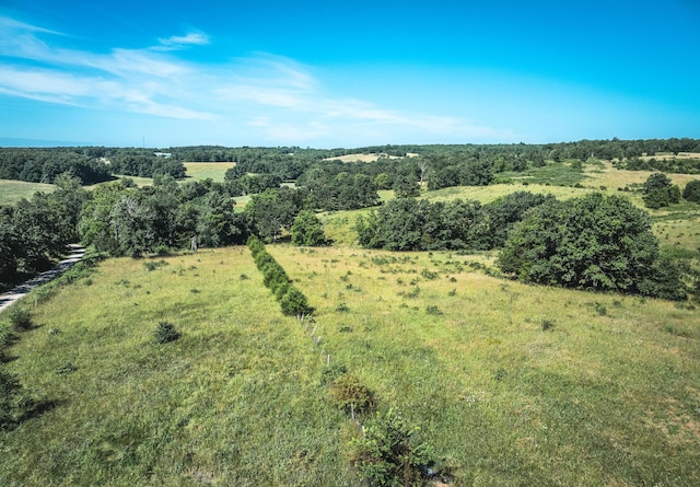 000 County Road 6190, Edgar Springs, MO 65462 - photo 1