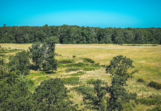 000 County Road 6190, Edgar Springs, MO 65462 - photo 19