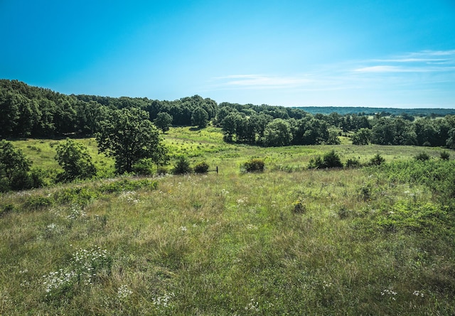 000 County Road 6190, Edgar Springs, MO 65462 - photo 21