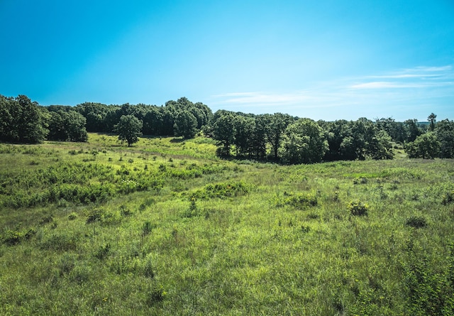 000 County Road 6190, Edgar Springs, MO 65462 - photo 22