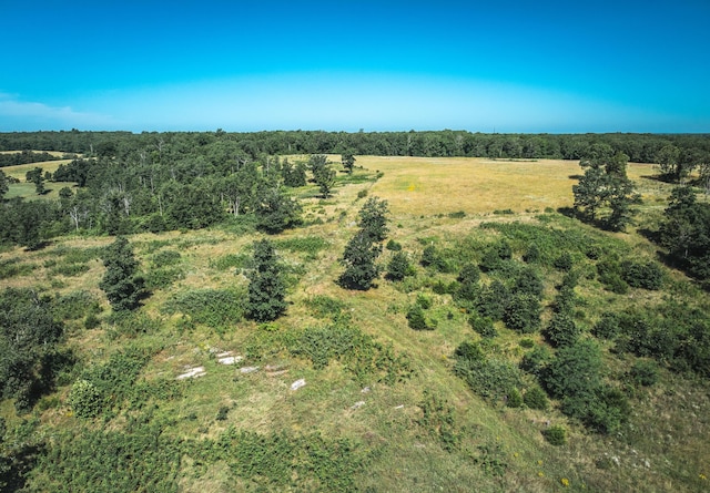 000 County Road 6190, Edgar Springs, MO 65462 - photo 5