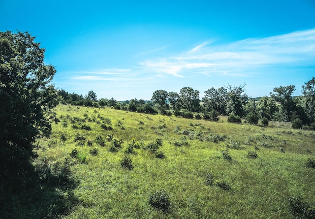 000 County Road 6190, Edgar Springs, MO 65462 - photo 24