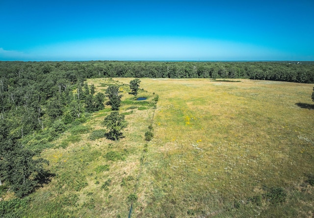 000 County Road 6190, Edgar Springs, MO 65462 - photo 6