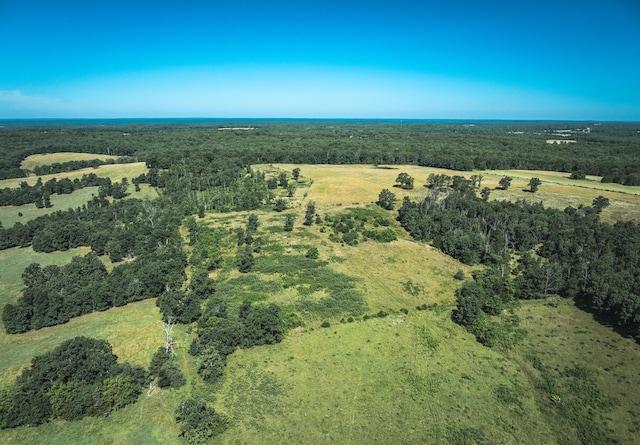000 County Road 6190, Edgar Springs, MO 65462 - photo 3