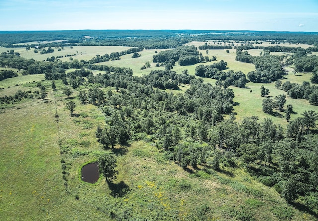 000 County Road 6190, Edgar Springs, MO 65462 - photo 16