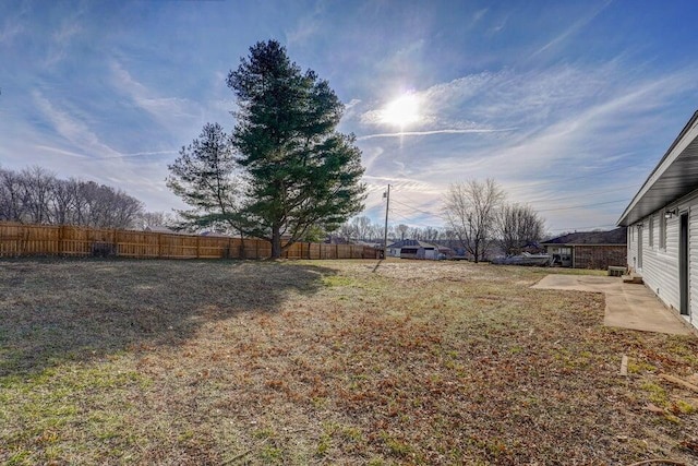 502 S Walnut St, Walnut Grove, MO 65770 - view of yard