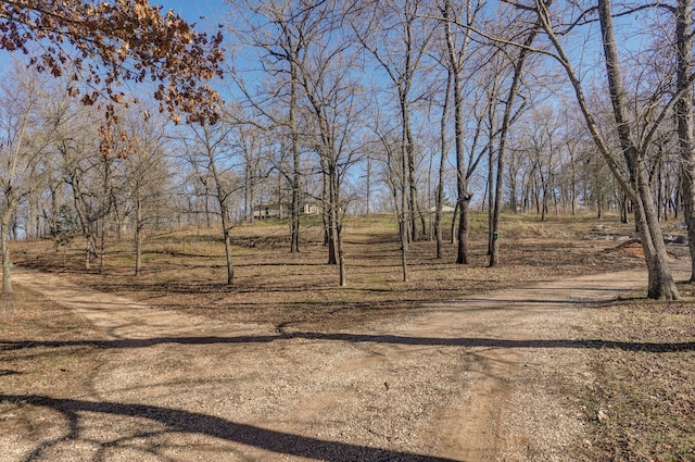 2898 N Farm Road 17, Ash Grove, MO 65604 - photo 4