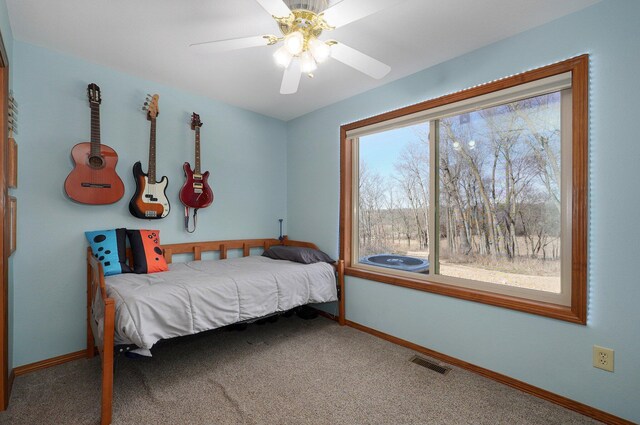 2898 N Farm Road 17, Ash Grove, MO 65604 - photo 40