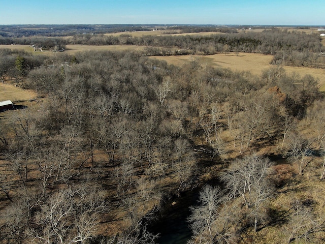 2898 N Farm Road 17, Ash Grove, MO 65604 - photo 53