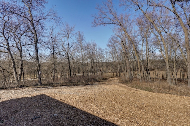 2898 N Farm Road 17, Ash Grove, MO 65604 - photo 44