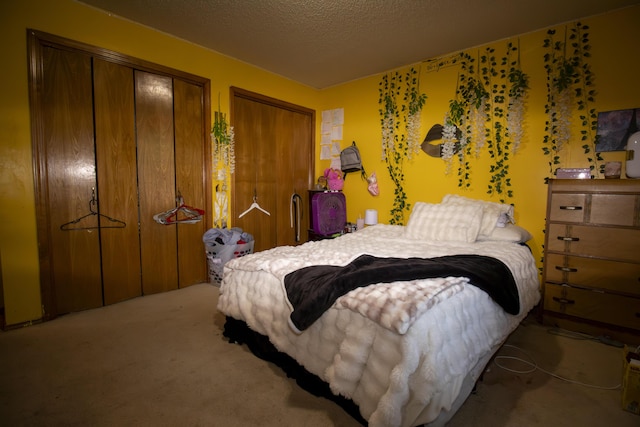 301 N Gregg Rd, Nixa, MO 65714 - carpeted bedroom with two closets and a textured ceiling