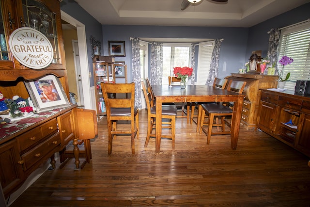 301 N Gregg Rd, Nixa, MO 65714 - dining area featuring dark wood-type flooring, a tray ceiling, and healthy amount of natural light