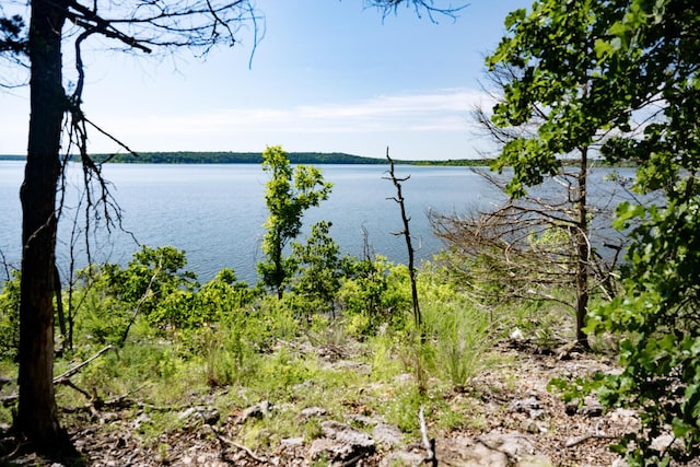 20816 Valley View Trl, Wheatland, MO 65779 - water view