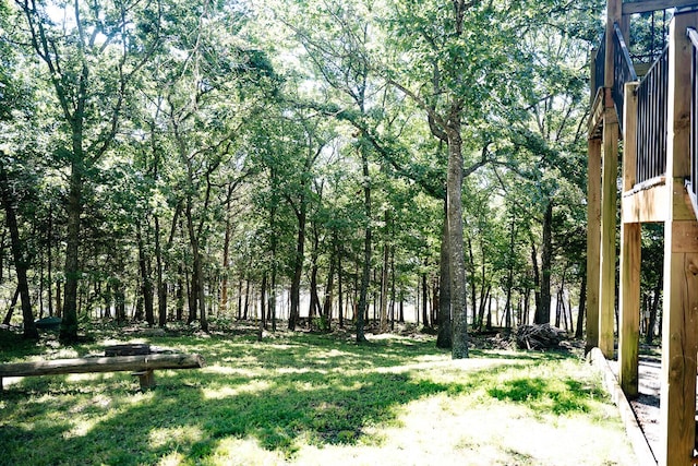 20816 Valley View Trl, Wheatland, MO 65779 - view of grassy yard