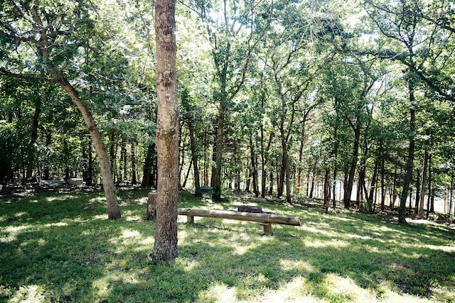 20816 Valley View Trl, Wheatland, MO 65779 - view of grassy yard