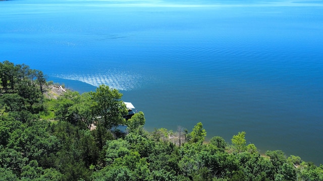 20816 Valley View Trl, Wheatland, MO 65779 - water view featuring a forest