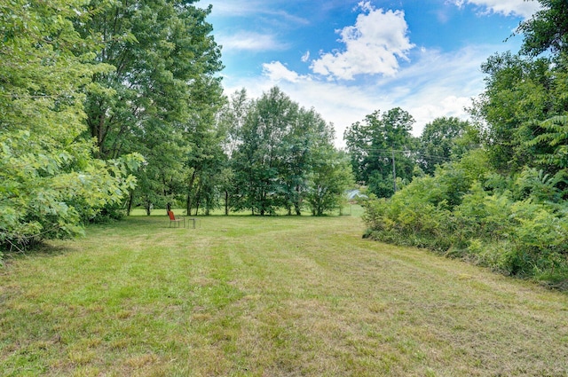 528 N Locust St, Marshfield, MO 65706 - view of grassy yard