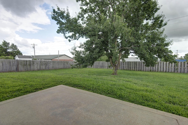 1359 W Stone House Rd, Nixa, MO 65714 - photo 2