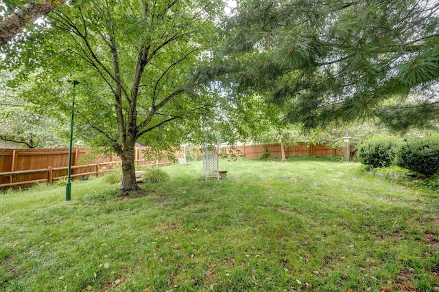 3520 E Carol Dr, Springfield, MO 65809 - view of fenced backyard