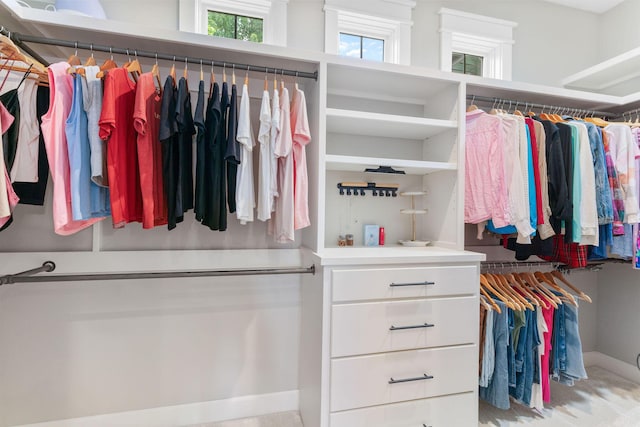 6421 S Valley Brook Ct, Springfield, MO 65810 - view of walk in closet