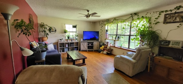 18946 Noland Ln, Neosho, MO 64850 - photo 18