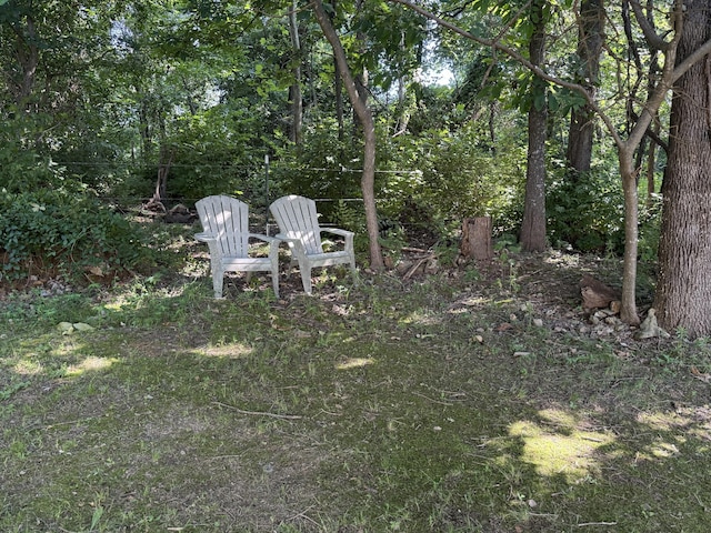 18946 Noland Ln, Neosho, MO 64850 - photo 8
