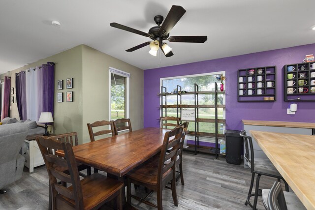 2080 State Route 14, West Plains, MO 65775 - dining room with wood finished floors and a ceiling fan