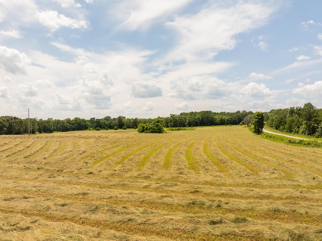 2080 State Route 14, West Plains, MO 65775 - view of yard with a rural view and agricultural plots