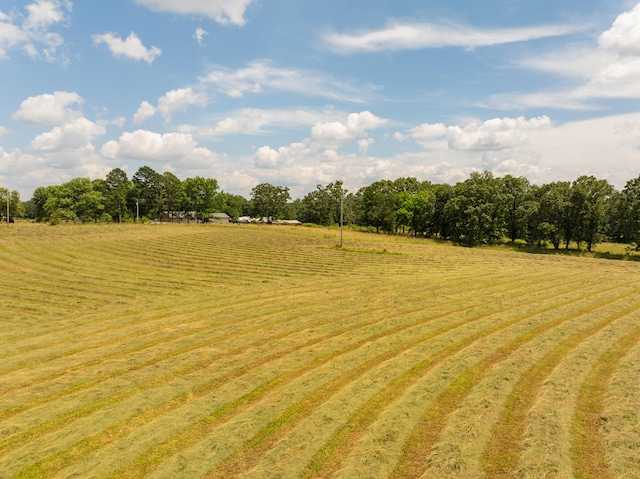 2080 State Route 14, West Plains, MO 65775 - view of yard with a view of rural / pastoral area