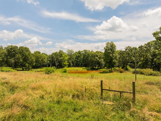 2080 State Route 14, West Plains, MO 65775 - view of yard with a rural view and a view of trees